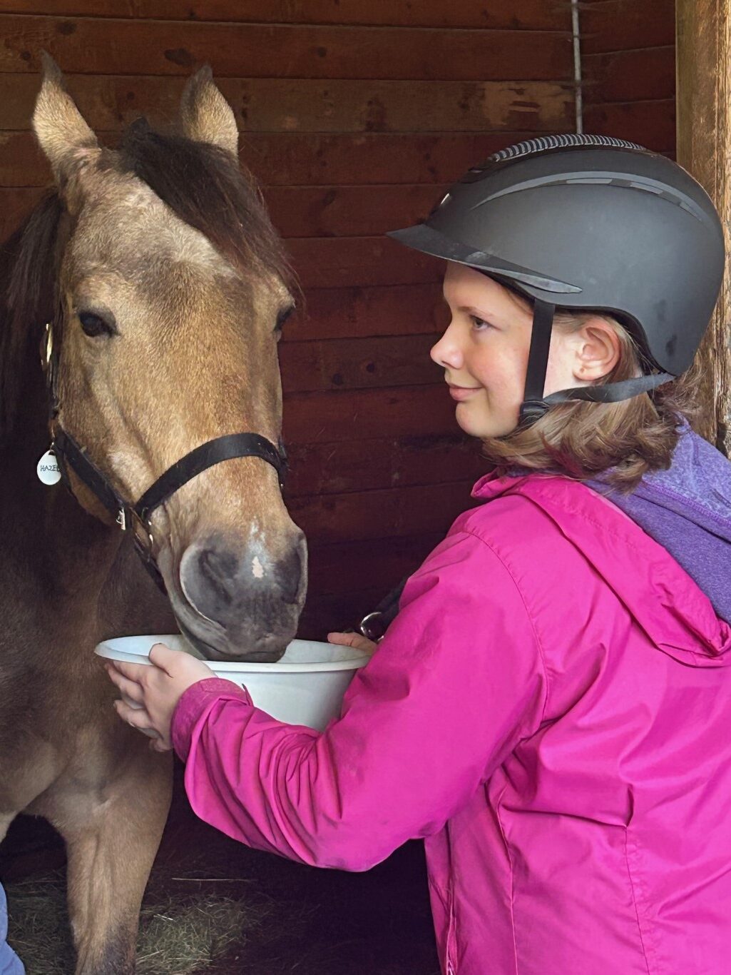 About Our Horses HazelAlexa19Gallery