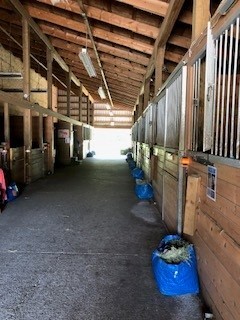 About Our Horses StafflsParkLane Gallery9