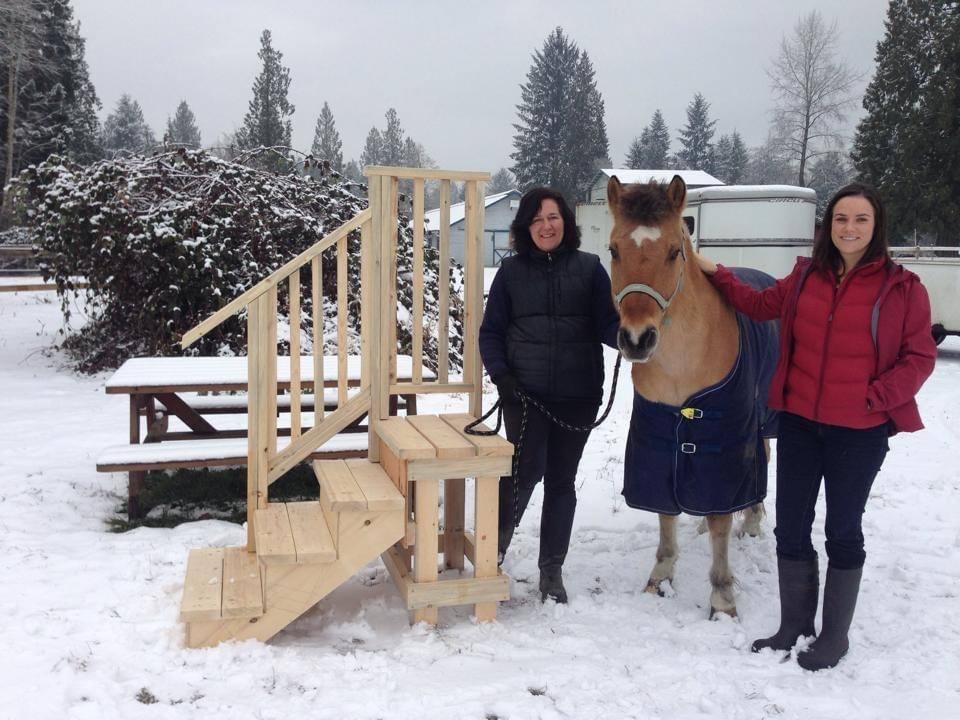 About Our Horses TeddySnow17 Galery