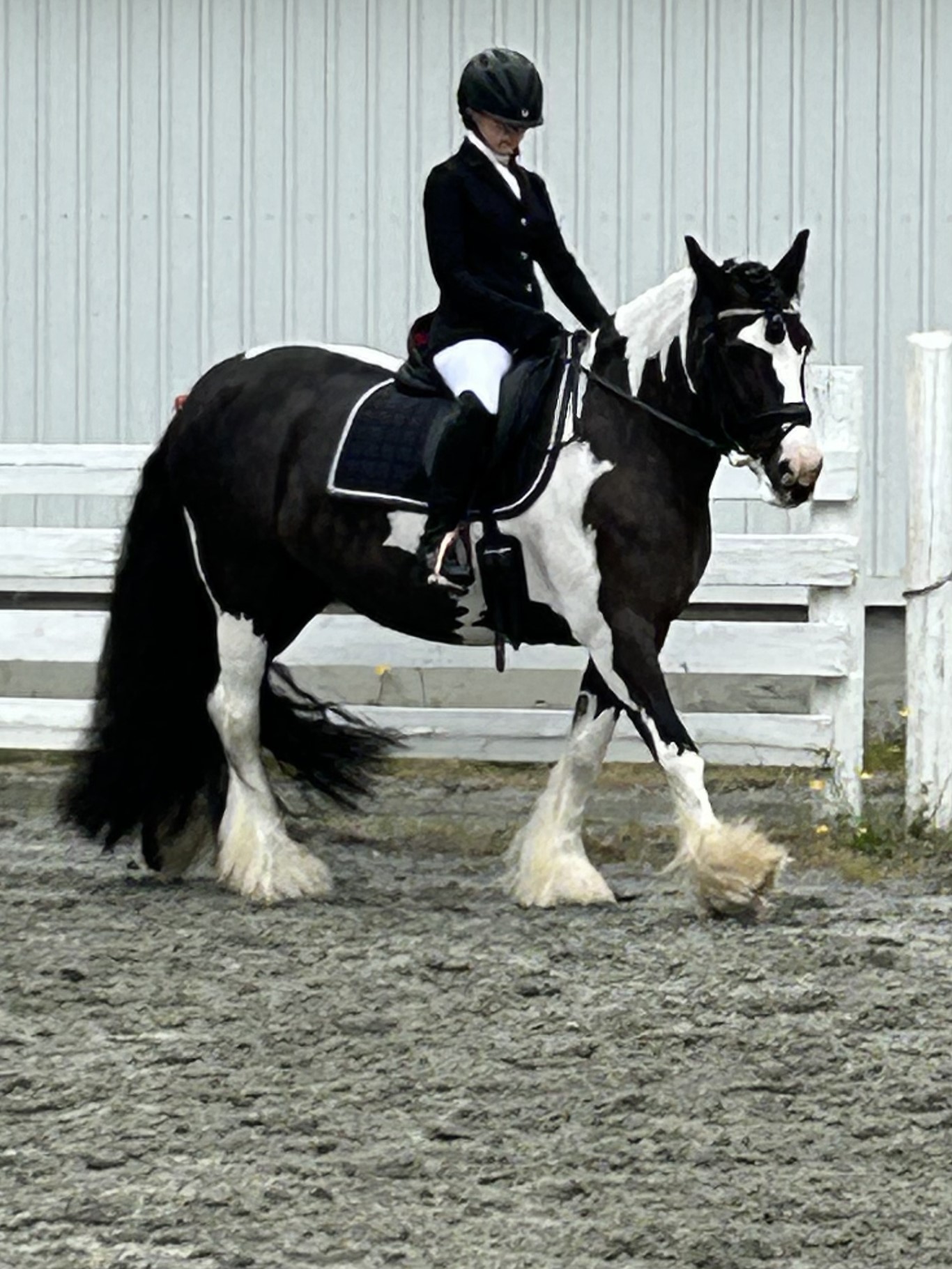 Events & FR OBS Gallery1