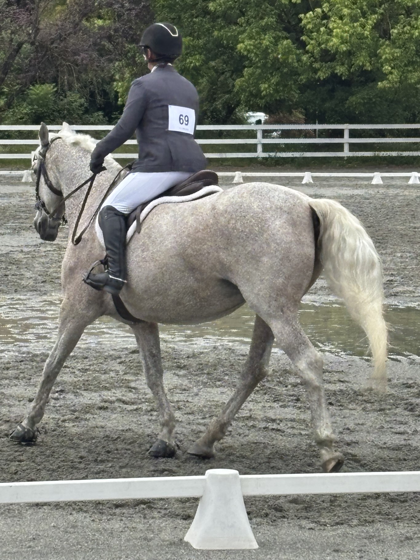 Events&FR OBS Gallery2